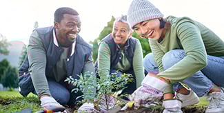 Diverse group of people palnt new tree