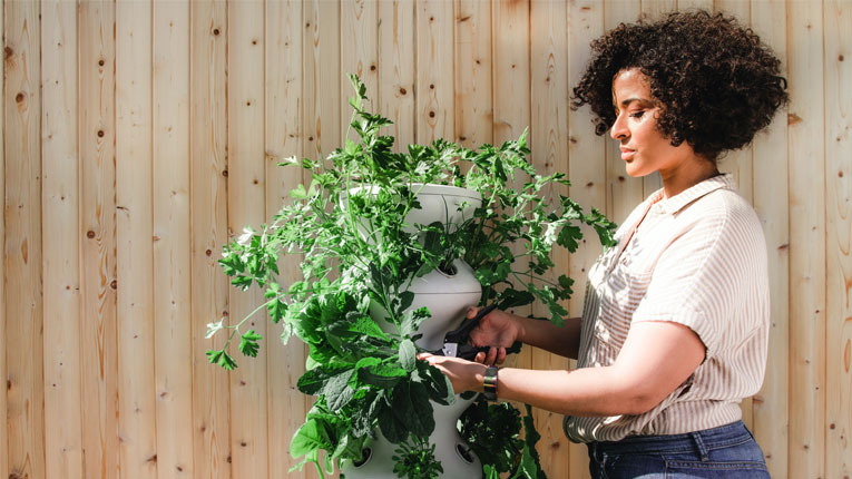 Summer home improvement projects like this woman gardening in front of her new fence are just around the corner.